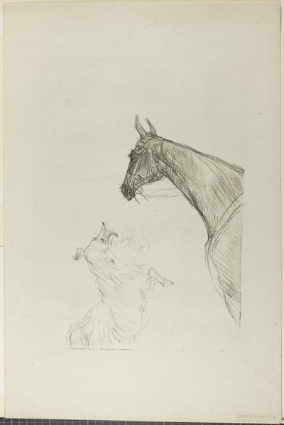 Häst och Collie av Henri de Toulouse Lautrec