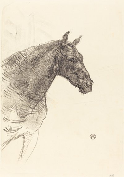 Gammal häst av Henri de Toulouse Lautrec