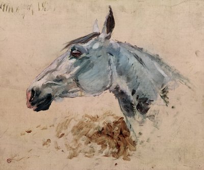 Vita hästen "Gazelle", 1881 av Henri de Toulouse Lautrec