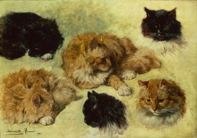 Studier av katter av Henriëtte Ronner Knip