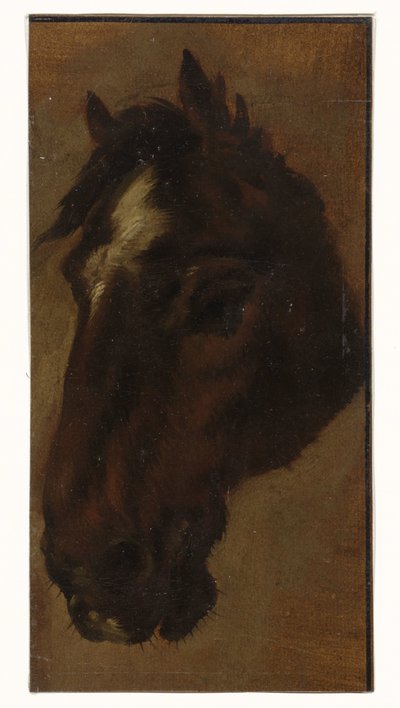 hästhuvud av Henriëtte Ronner