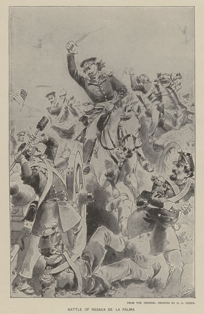 Slaget vid Palm Hangover (litho) av Henry Alexander (after) Ogden