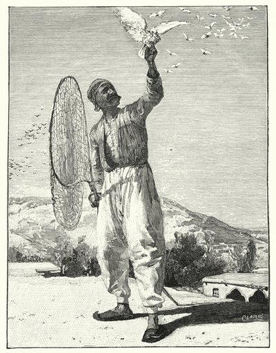 Snörande fåglar i hustopp i öst (litho) av Henry Andrew Harper