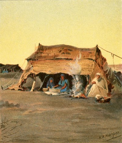 Tältliv av Henry Andrew Harper