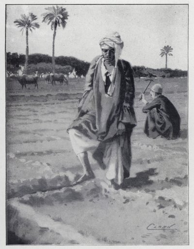 Vattna med foten i Gizeh, Egypten (litho) av Henry Andrew Harper