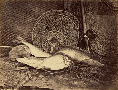 Stilleben med karp och gädda av Henry Bailey