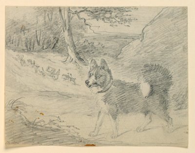 Studie av en älghund av Henry Bernard Chalon