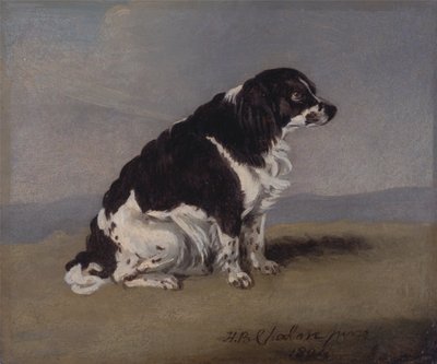 Hertiginnan av Yorks spaniel av Henry Bernard Chalon