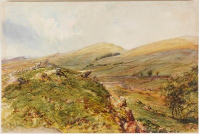 Cockmount Hill (kroppsfärg) av Henry Burdon Richardson