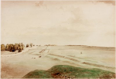 Down Hill, Northumberland (färg) av Henry Burdon Richardson