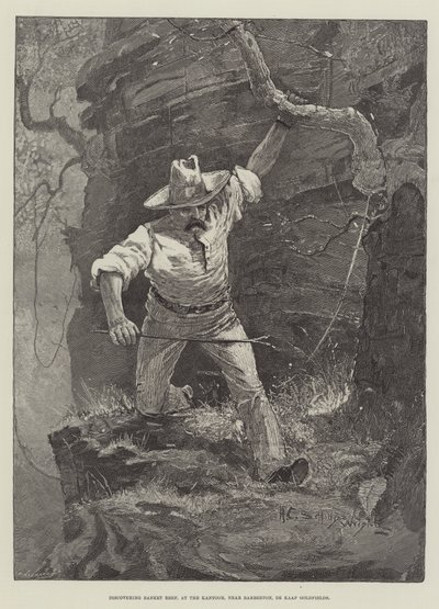 Upptäck Banket Reef, vid Kantoor, nära Barberton, De Kaap Goldfields av Henry Charles Seppings Wright