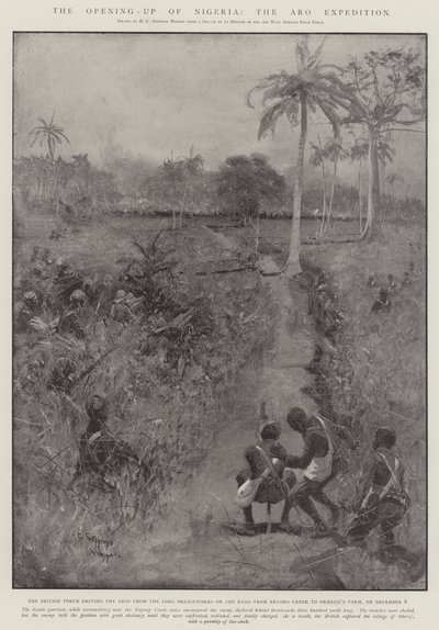 Öppnandet av Nigeria, Aro-expeditionen av Henry Charles Seppings Wright