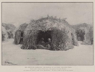 Somalilandsexpeditionen, sjukhuset i Las Durie, isoleringsavdelningar av Henry Charles Seppings Wright