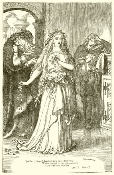 Liten by av Henry Courtney Selous