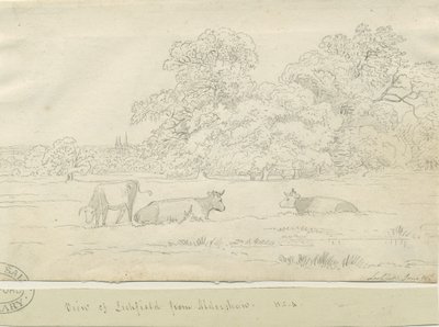 Lichfield - Utsikt från Aldershaw av Henry Curzon Allport