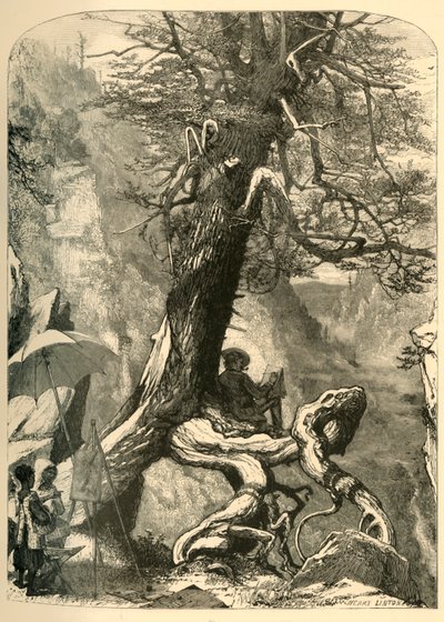"Ovanför den naturliga bron", 1872. av Henry Duff Linton