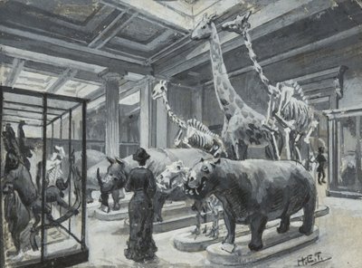 Interiörvy av British Museum som visar galleriet som innehåller djurutställningar, c.1880 av Henry Edward Tidmarsh