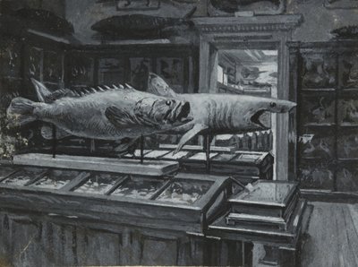 Interiörvy av British Museum som visar galleriet med fiskutställningar, ca 1880 (tvätt och kroppsfärg på papper) av Henry Edward Tidmarsh