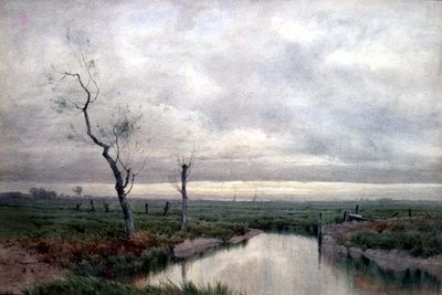 Kustens träskmarker (akvarell) av Henry Farrer