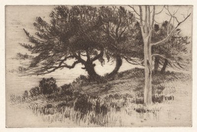 Nära havet av Henry Farrer