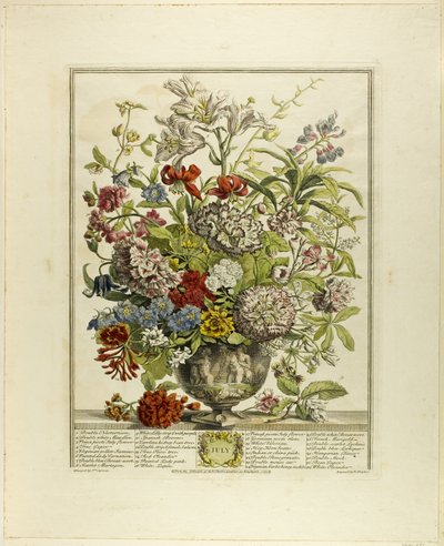 Juli, från Tolv månaders blommor av Henry Fletcher