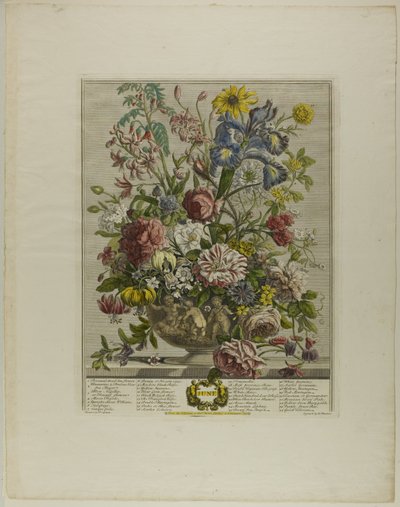 Juni, från Tolv månader av blommor av Henry Fletcher