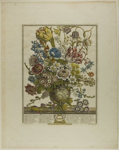 Mars, från Tolv månader av blommor av Henry Fletcher