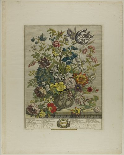 maj, från Tolv månader av blommor av Henry Fletcher