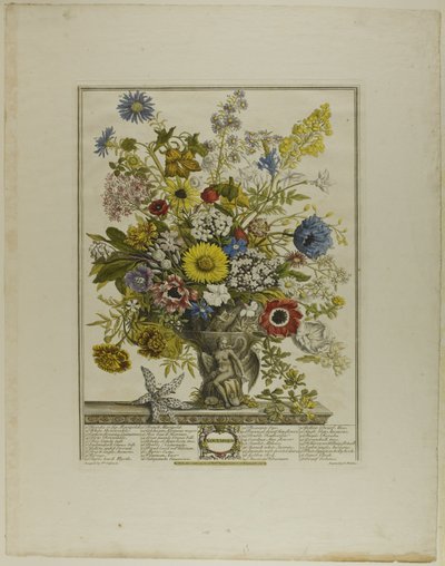 November, från Tolv månader av blommor av Henry Fletcher