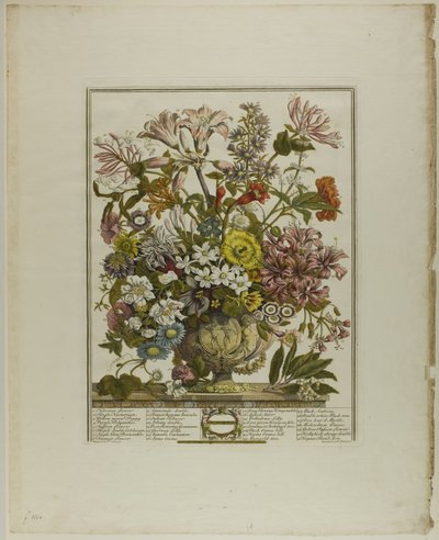 Oktober, från Tolv månader av blommor av Henry Fletcher