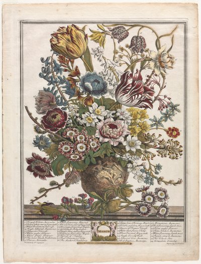 Tolv månaders blommor: mars av Henry Fletcher