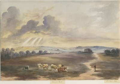 Cannock Chase - "Heath": akvarellmålning, 1844 av Henry James Noyes