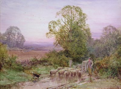 Valda fåren (akvarell) av Henry John Sylvester Stannard