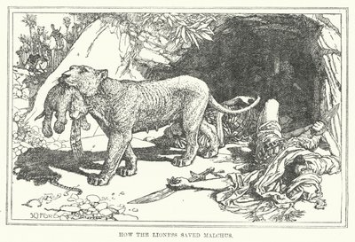Hur lejoninnan räddade Malchus (litho) av Henry Justice Ford