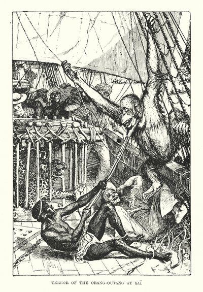 Orang-outangens skräck vid Sai (gravyr) av Henry Justice Ford