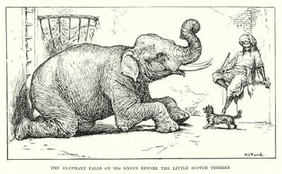 Elefanten faller på knä inför den lilla skotska terriern (gravyr) av Henry Justice Ford