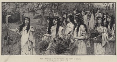 Mistelns insamling av Henry Meynell Rheam