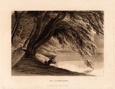 Fiskdammarna av Henry Morton