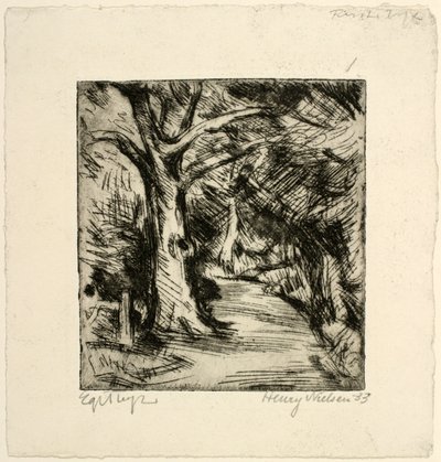 Skogsväg. Riis skog av Henry Nielsen