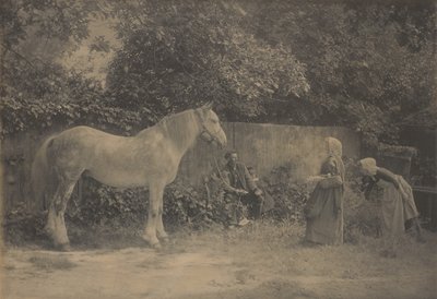 [Old Dapple] av Henry Peach Robinson
