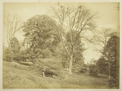 Rook Shooting av Henry Peach Robinson