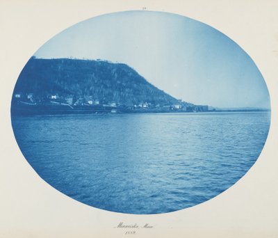 Minnesota, Minn. av Henry Peter Bosse