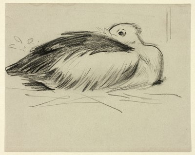 Skiss av häckande stork av Henry Stacy Marks