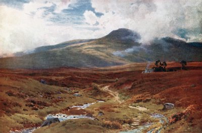En mosse nära Killin, Perthshire (färglitografi) av Henry Sutton Palmer