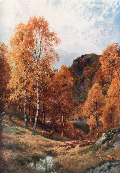 Gyllene höst, Trossachs, Perthshire (färglitografi) av Henry Sutton Palmer
