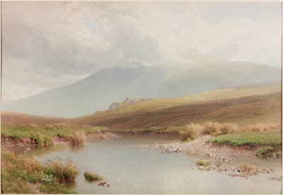 swedish av Henry Sutton Palmer