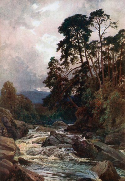  av Henry Sutton Palmer