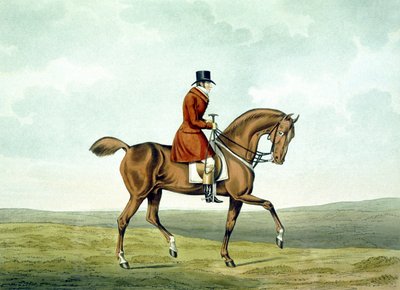 En Meltonian, As He Was, från 