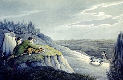 Badger Catching från National Sports of Great Britain, graverad av J.H. Clarke av Henry Thomas (after) Alken
