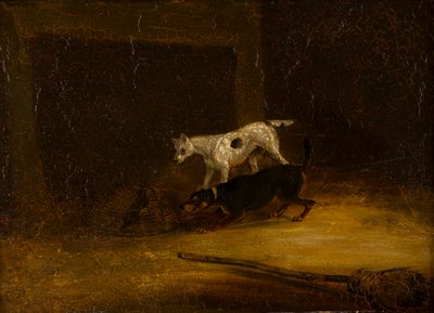 Två terrier som försöker ta sig till en råtta i en fälla, ca 1805-51 (olja på panel) av Henry Thomas (follower of) Alken